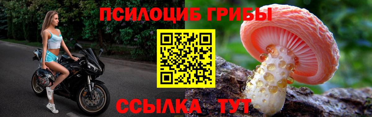 Псилоцибиновые грибы Magic Shrooms  Вход с VPN  наркота  Октябрьский 
